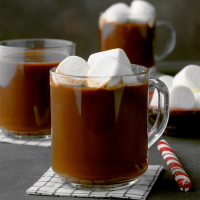 HOMEMADE HOT CHOCOLATE ON THE STOVE RECIPES