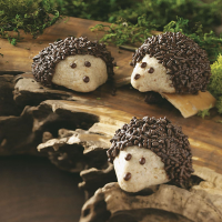 Chocolate-Pecan Hedgehog Cookies Recipe: How to Make It image