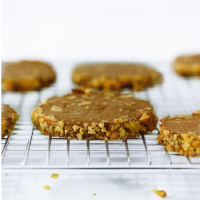 Chocolate Walnut Cookies Recipe | MyRecipes image