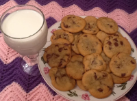 My Famous Chocolate Chip Cookies | Just A Pinch Recipes image