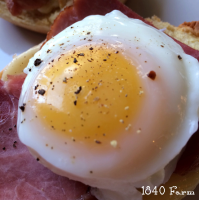 POACHED EGGS IN THE OVEN RECIPES