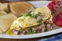 WHAT'S IN WESTERN OMELETTE RECIPES