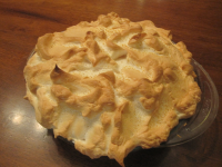My Mom's Rhubarb Custard Pie Recipe - Food.com image