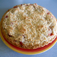 STRAWBERRY RHUBARB CUSTARD PIE WITH CRUMB TOPPING RECIPES