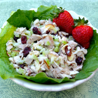 Cranberry and Turkey Salad Recipe | Allrecipes image