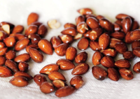 Fried Almonds Recipe | Bon Appétit image