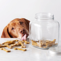 Pumpkin Apple Dog Treats | Recipe Recipe | Land O’Lakes image