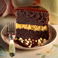 Chocolate-Peanut Butter Mousse Cake Recipe | MyRecipes image