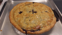 NO SUGAR ADDED BLUEBERRY PIE FILLING RECIPES