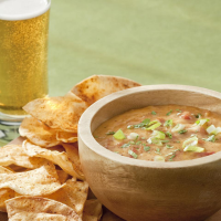 HEALTHY QUESO DIP STORE-BOUGHT RECIPES