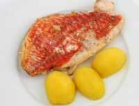 RED SNAPPER SUBSTITUTE RECIPES