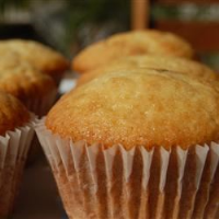 VANILLA CUPCAKES WITHOUT BUTTER RECIPES