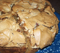 SPICE CAKE WITH NUTS RECIPES