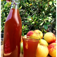 HOW TO MAKE APPLE CIDER CONCENTRATE RECIPES