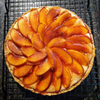 Peach and Cream Cheese Torte Recipe | Allrecipes image