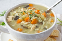 CHICKEN BARLEY SOUP FOR THE CROCK POT RECIPES RECIPES