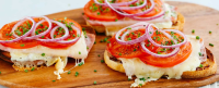 Recipes - Open-Faced Grilled Ham and Cheese Sandwich ... image