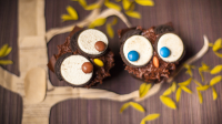 HOW TO MAKE AN OWL CAKE OUT OF CUPCAKES RECIPES