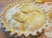 Flaky Pie Crust | Just A Pinch Recipes image