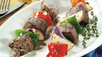 GRILLING STEAK KABOBS ON GAS GRILL RECIPES