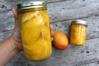 CANNED MANGO SLICES RECIPES