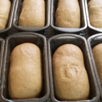 Easy Italian Crescent Roll-Up Sandwiches Recipe ... image