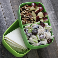 Waldorf Chicken Salad Wrap Bento Box Recipe | Allrecipes image