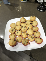 Blueberry (Or Chocolate Chip) Mini Muffins Recipe - Food.com image