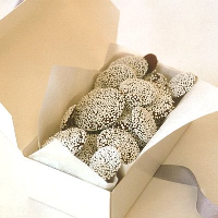 Nonpareils Candies Recipe - Recipes, Party Food, Cooking ... image
