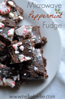 Peppermint Microwave Fudge - NellieBellie image