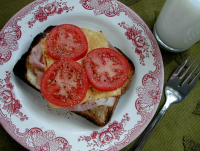 Hot Open-Faced Sandwich Recipe - Food.com image