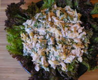 Parmesan and Basil Chicken Salad Recipe - Food.com image