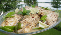 Oaxacan Grilled Fish - Mexico Recipe - Food.com image
