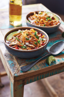Smoked Chicken Tortilla Soup Recipe | Southern Living image