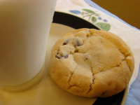 COOKIE MONSTER CHOCOLATE CHIP COOKIE RECIPE RECIPES