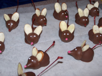 CHOCOLATE COVERED MICE RECIPES