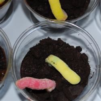 Mud and Worms Recipe | Allrecipes image