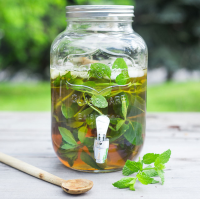 Fresh Mint Iced Tea Recipe | EatingWell image