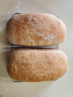 Whole Grain Wheat Bread Recipe - Food.com image