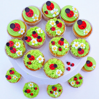 Ladybug and Flower Cupcakes | Better Homes & Gardens image