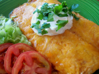 Fiesta Chicken Enchiladas Recipe - Food.com image