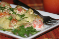 Gourmet Shrimp Enchiladas Recipe - Food.com image