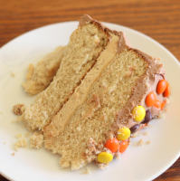 Peanut Butter and Chocolate Cake I Recipe | Allrecipes image