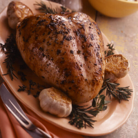 TURKEY BREASTS ON THE GRILL RECIPES