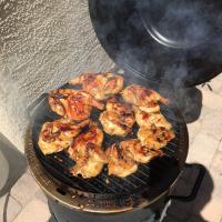COOKING CORNISH HENS ON GRILL RECIPES
