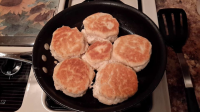 HOW TO COOK CANNED BISCUITS IN AN ELECTRIC SKILLET RECIPES