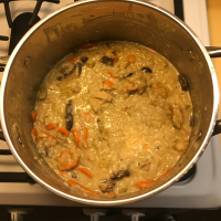 Easy Cream of Chicken Rice Soup Recipe | Allrecipes image