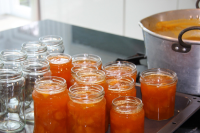 APRICOT PRESERVES SUBSTITUTE RECIPES