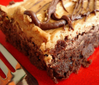 Mocha Brownies With Coffee Frosting Recipe - Food.com image