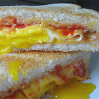 WHAT TO PUT ON A EGG SANDWICH RECIPES